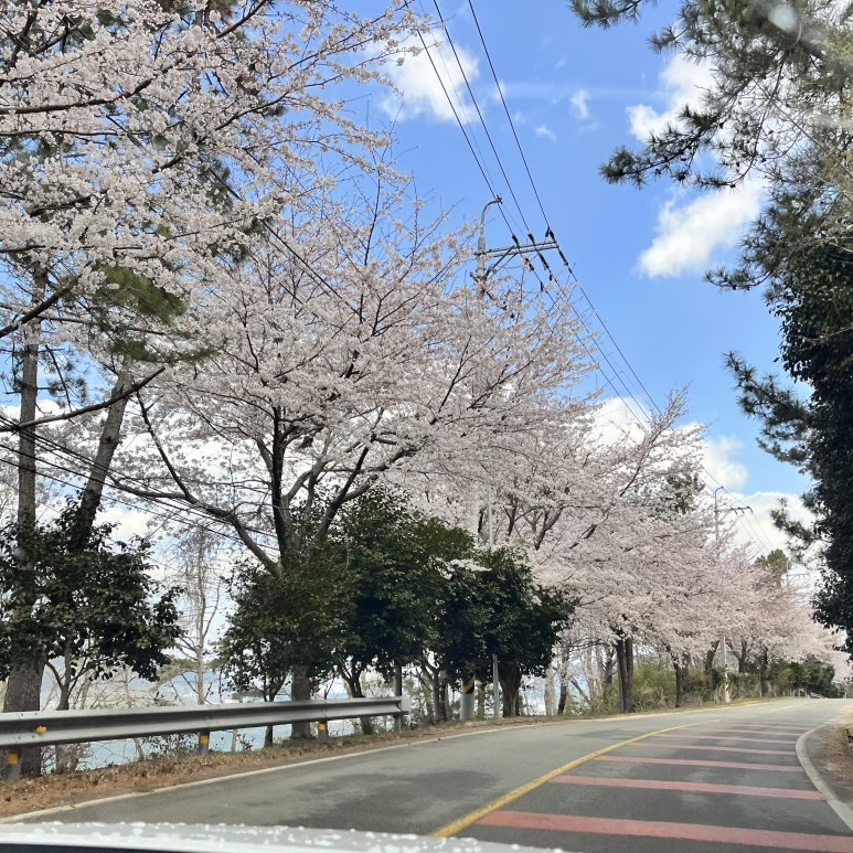 명진매점 이미지