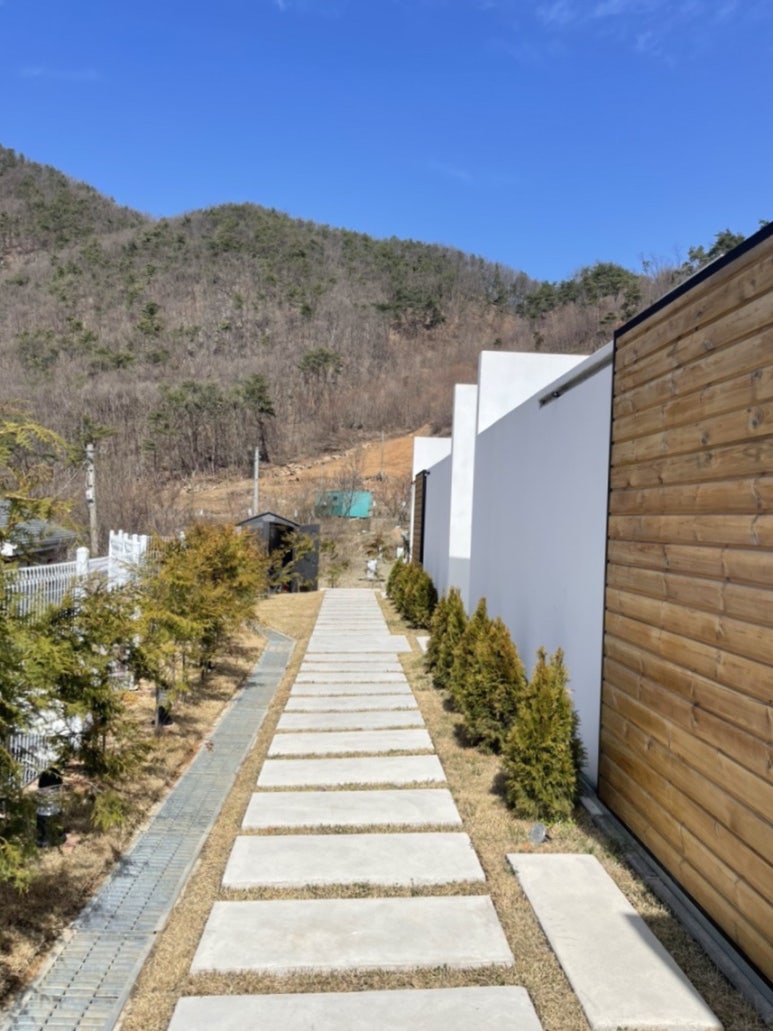 화이트리WHITREE 이미지