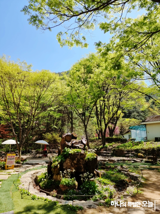 커피월든 이미지