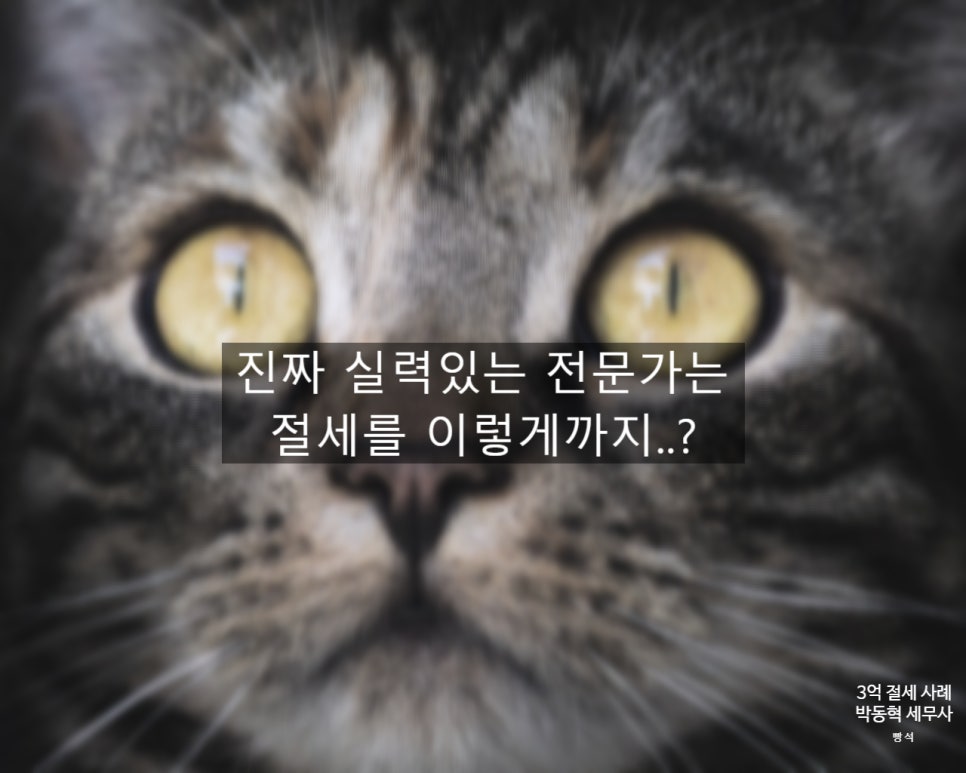 진주세무회계사무소 이미지