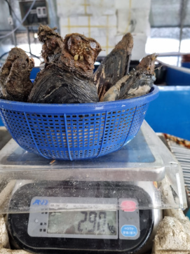 거제정수산 이미지