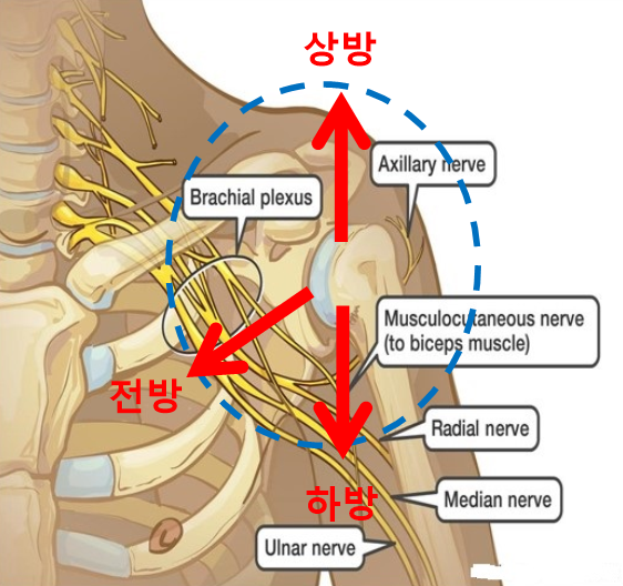 양촌한의원 이미지