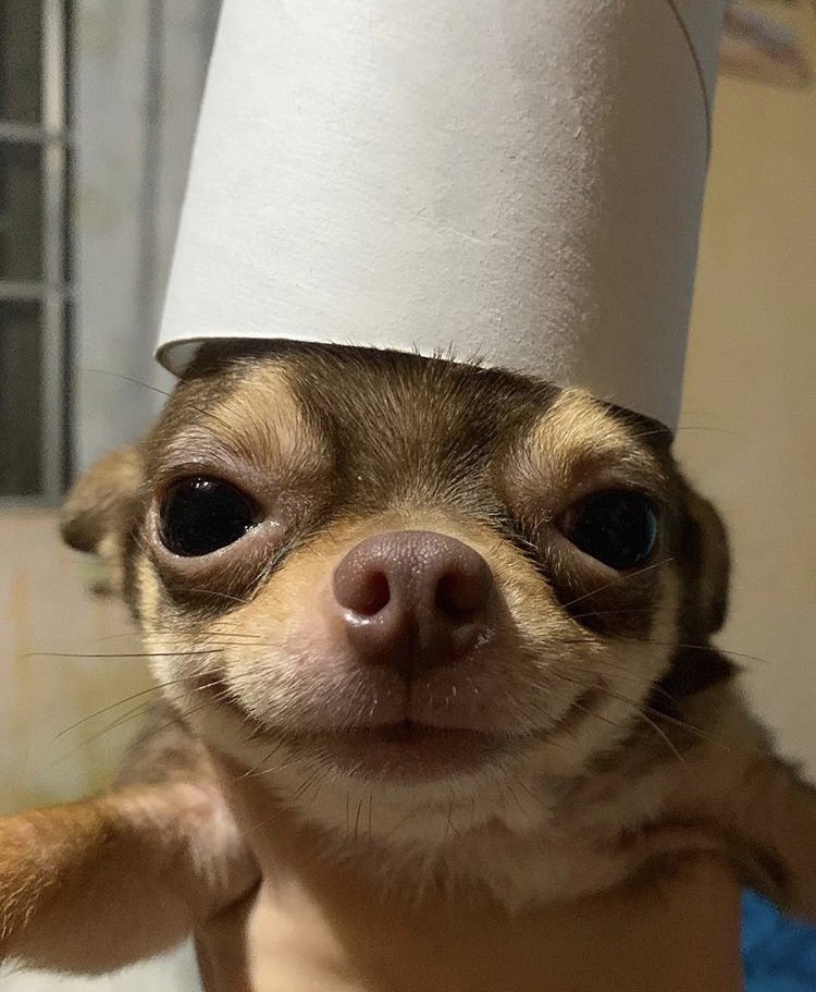 우히 이미지