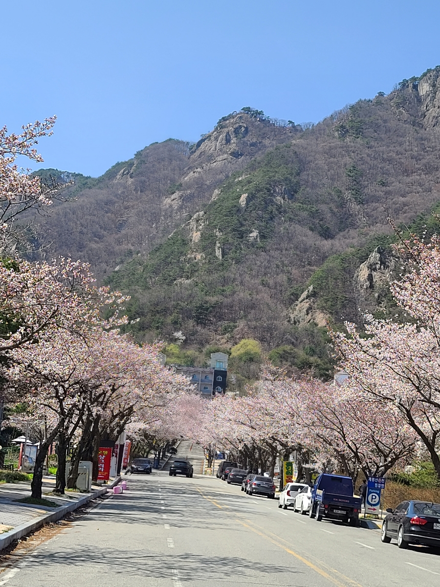 황금2노래연습장 이미지