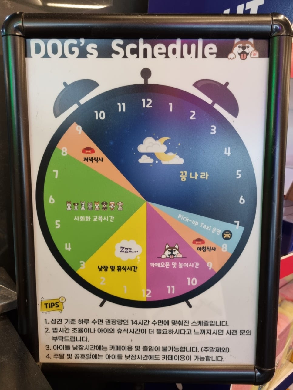 마루네일 이미지