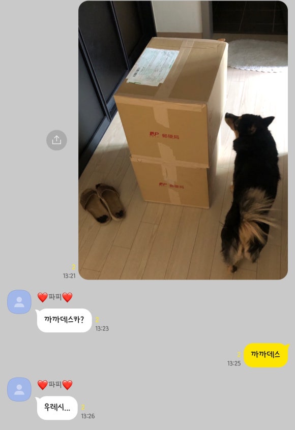 우레시 이미지