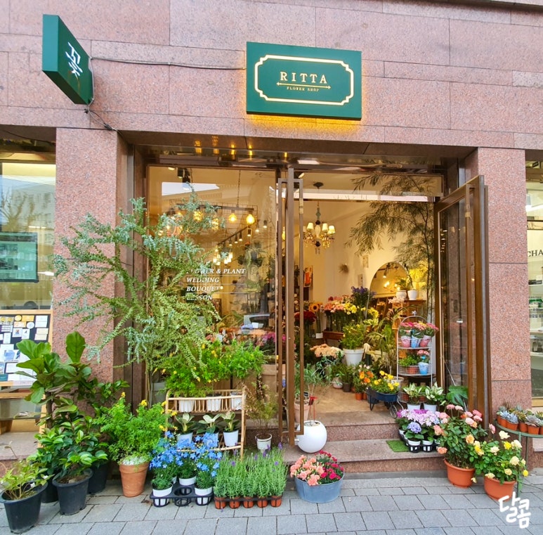 리따플라워 이미지