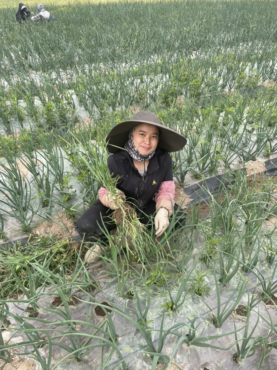 산포인력대기소 이미지