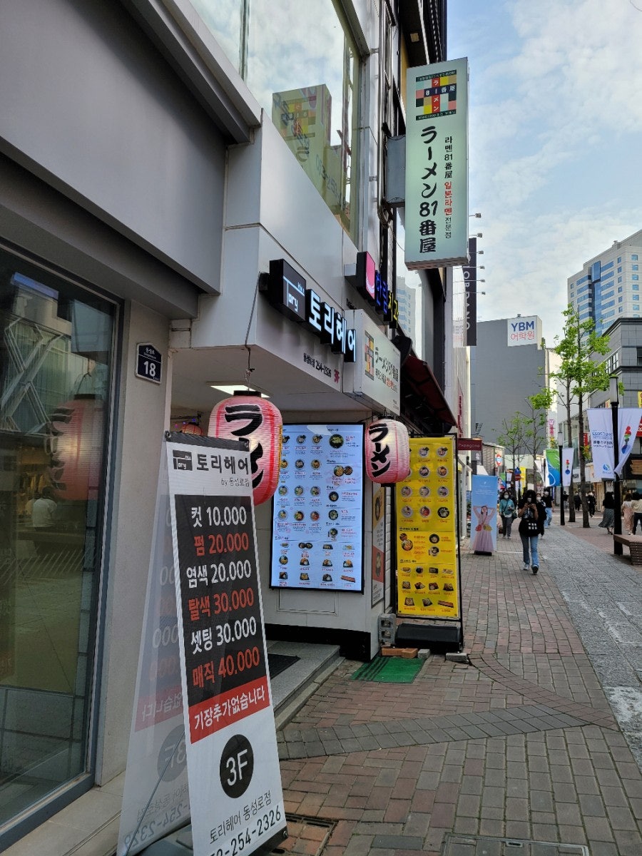 토리81 이미지