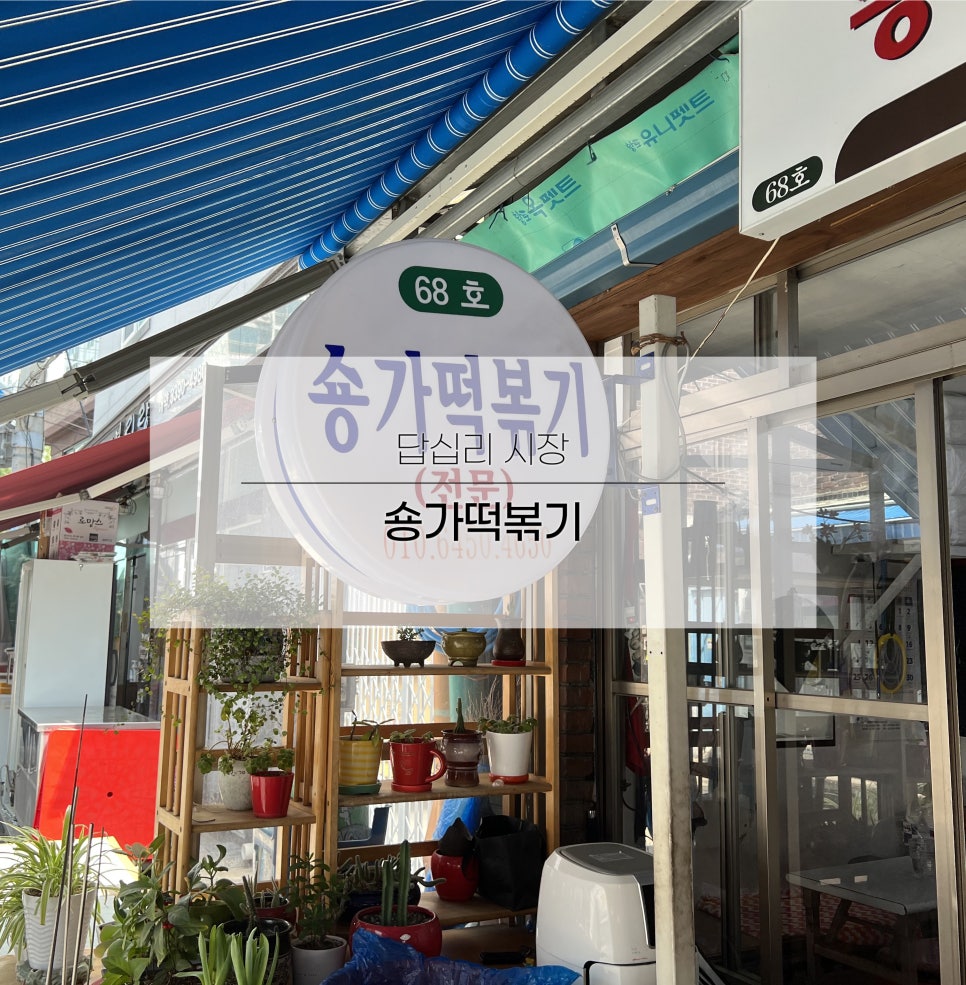 숑가 이미지