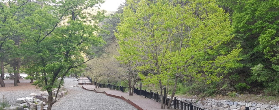 섬지골캠핑장 이미지