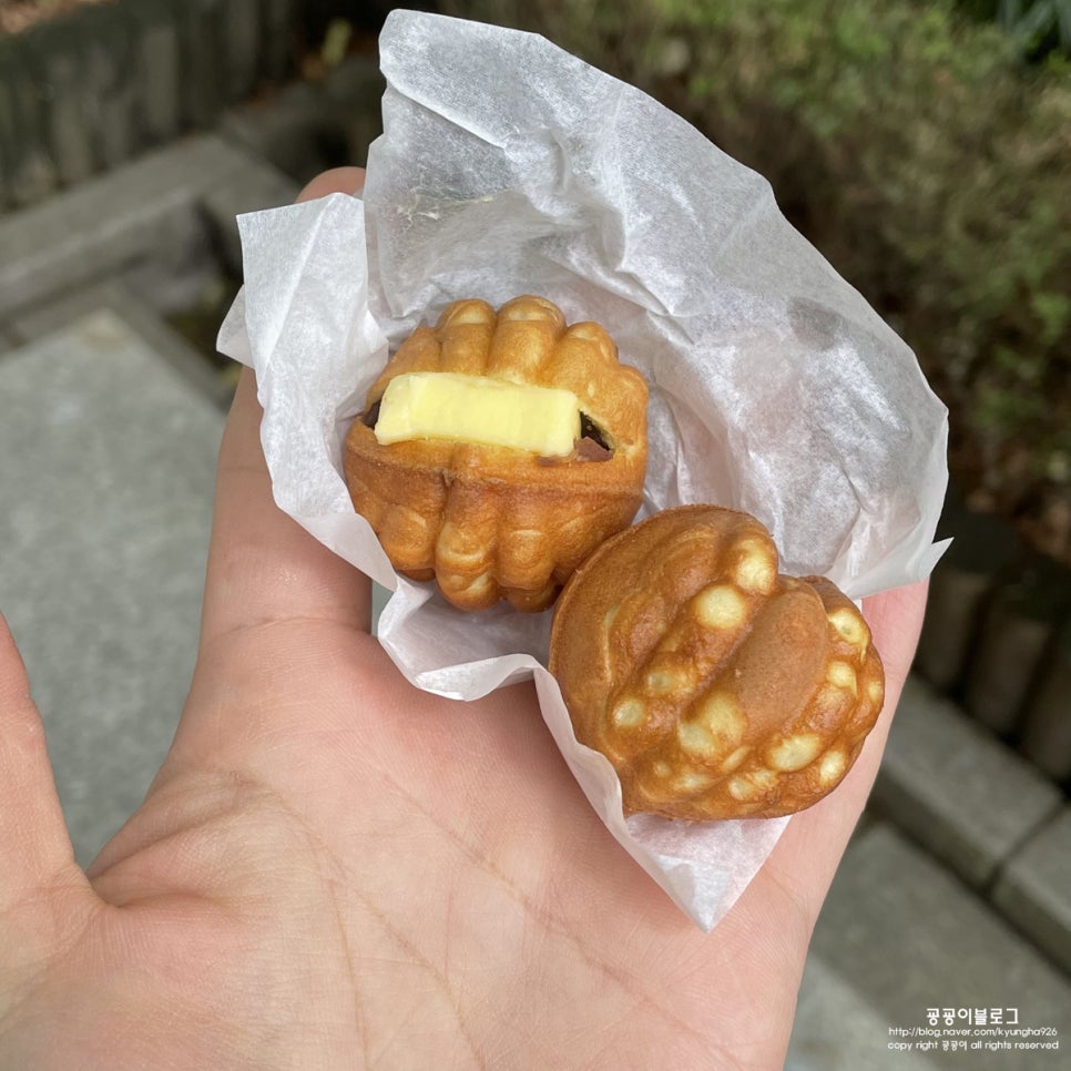 호두언니 이미지