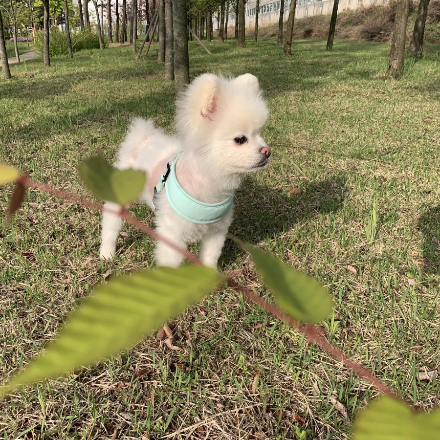 파랑나루 이미지