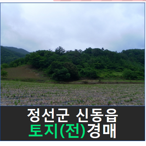 정선수산 이미지