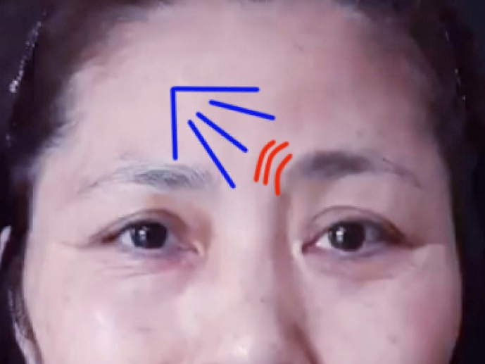 더디자인선 이미지