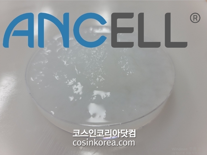 에이엔셀바이오 이미지