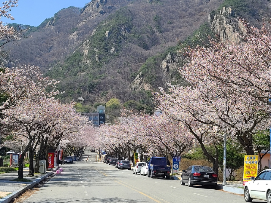 황금노래연습장 이미지