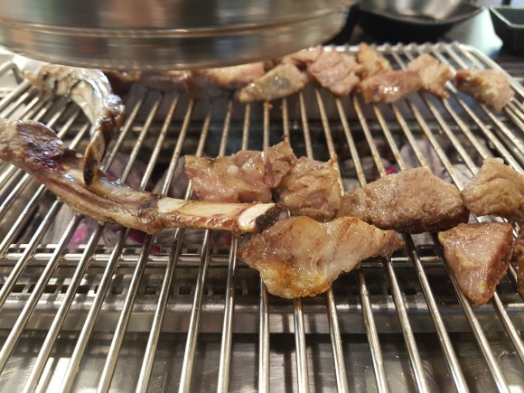 동방양고기램 이미지