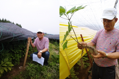 (주)선도식품 이미지