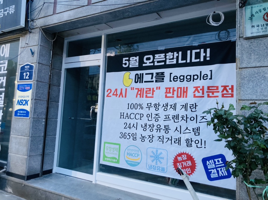 에그플 이미지