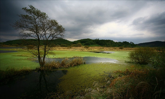 바른환경 이미지