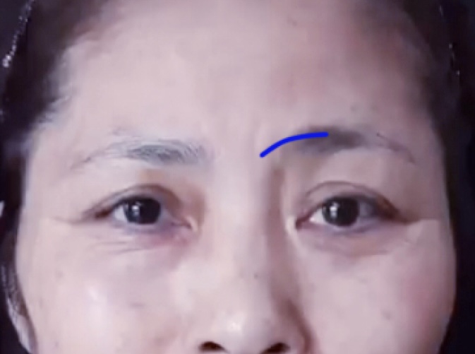 더디자인선 이미지