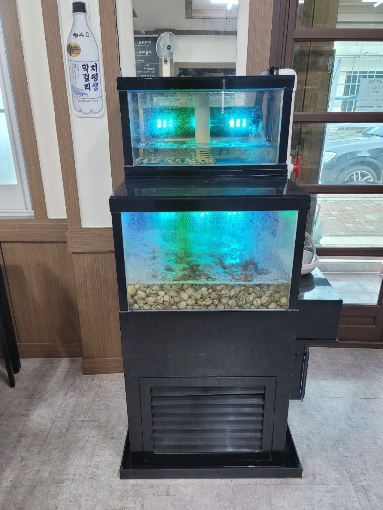 이가가야밀면 이미지