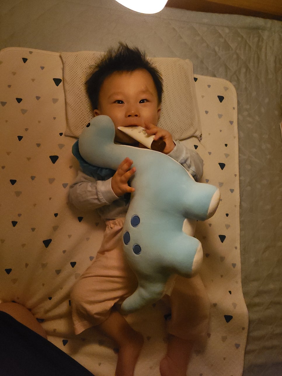 (주)토탈토이 이미지
