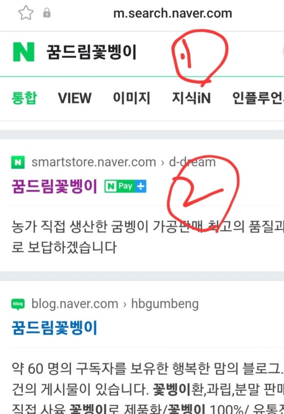 꿈드림꽃벵이 이미지