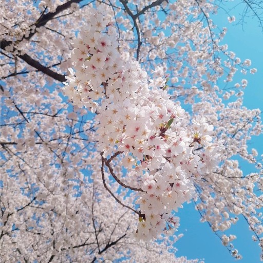 배당소 이미지