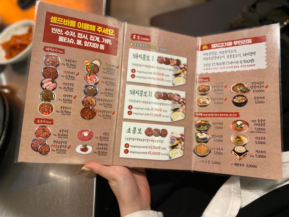 안산갈매기 이미지