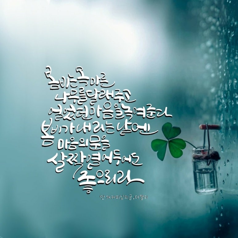 커피캘리 이미지