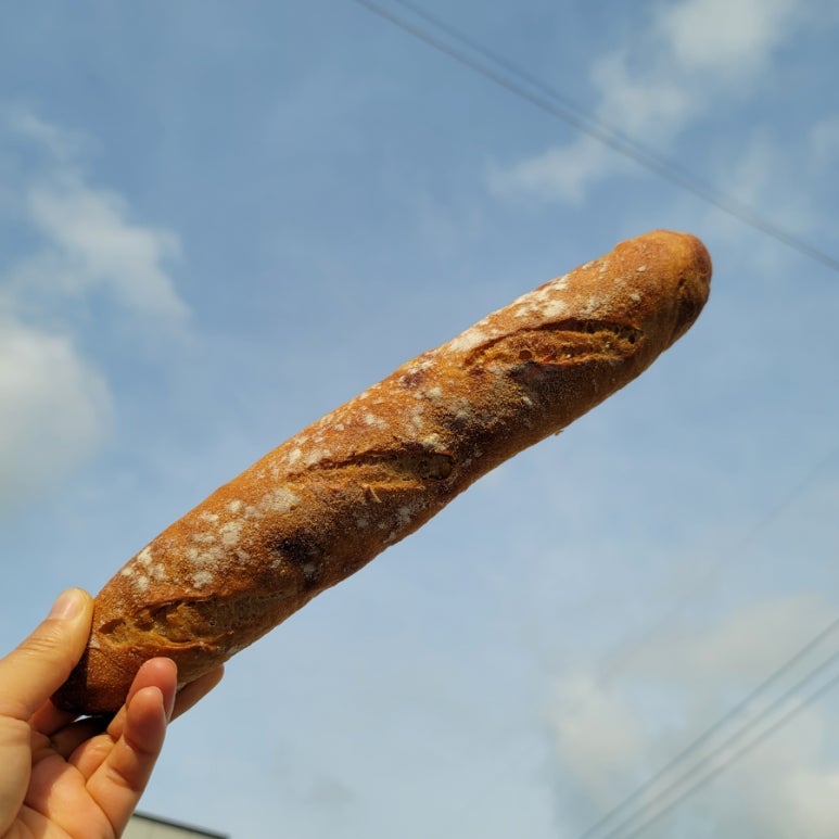 26 빵집 이미지