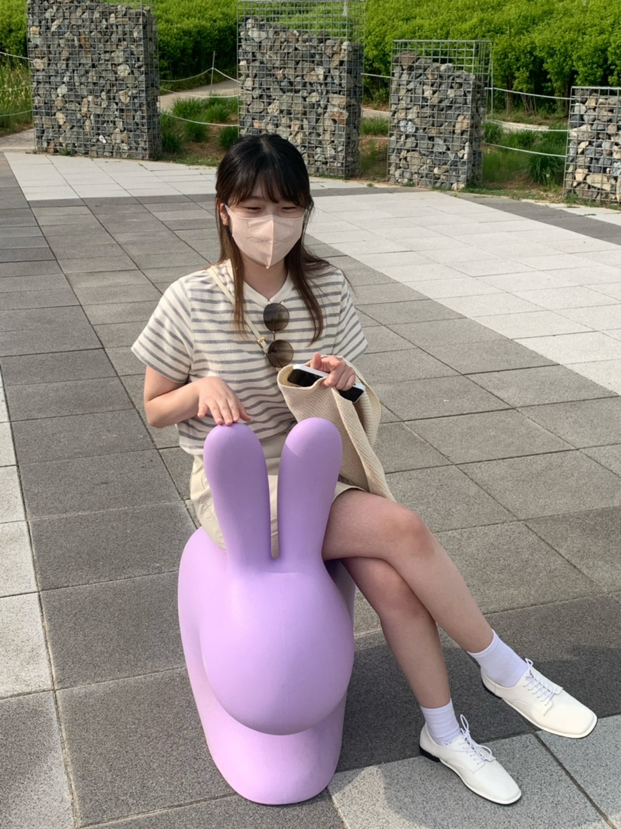 트노어 이미지