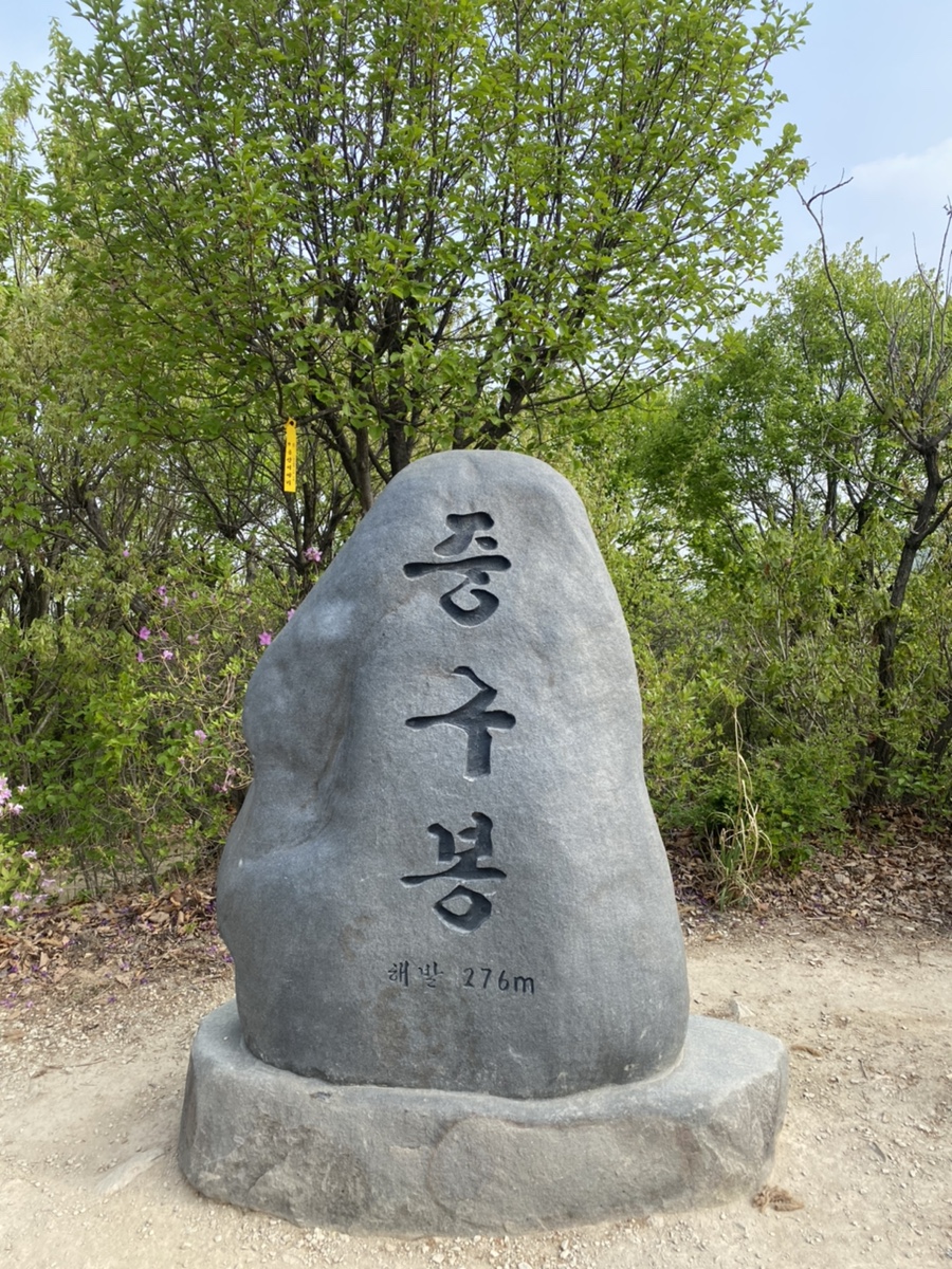 중구봉(276m) 이미지