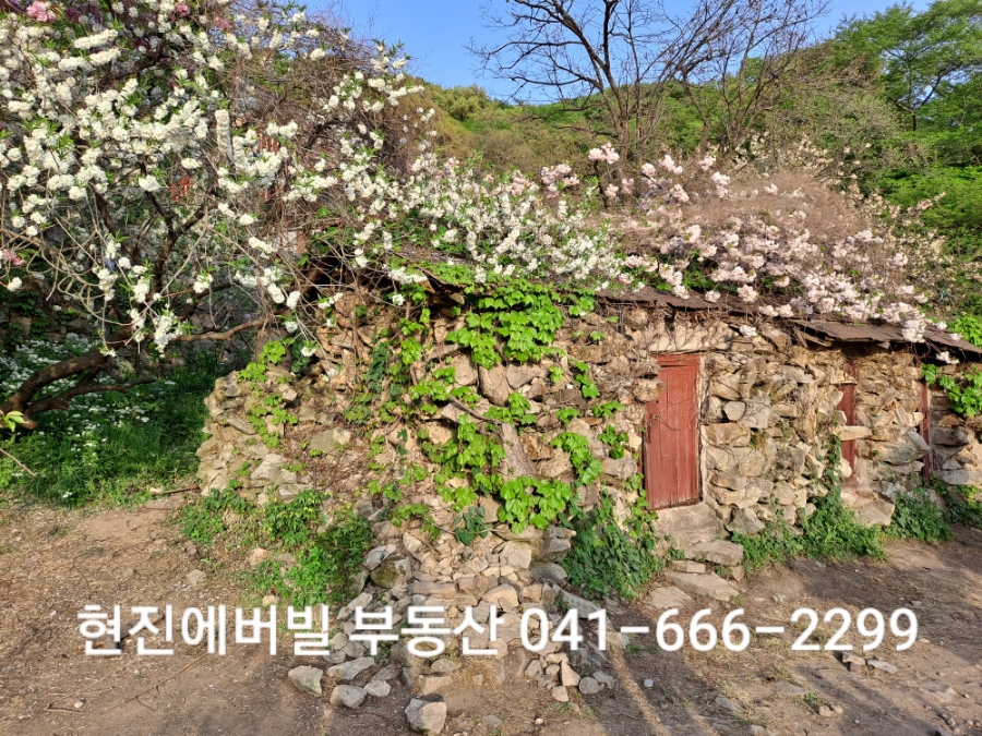 한강세무법인 이미지