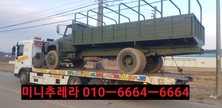 합천추레라 이미지