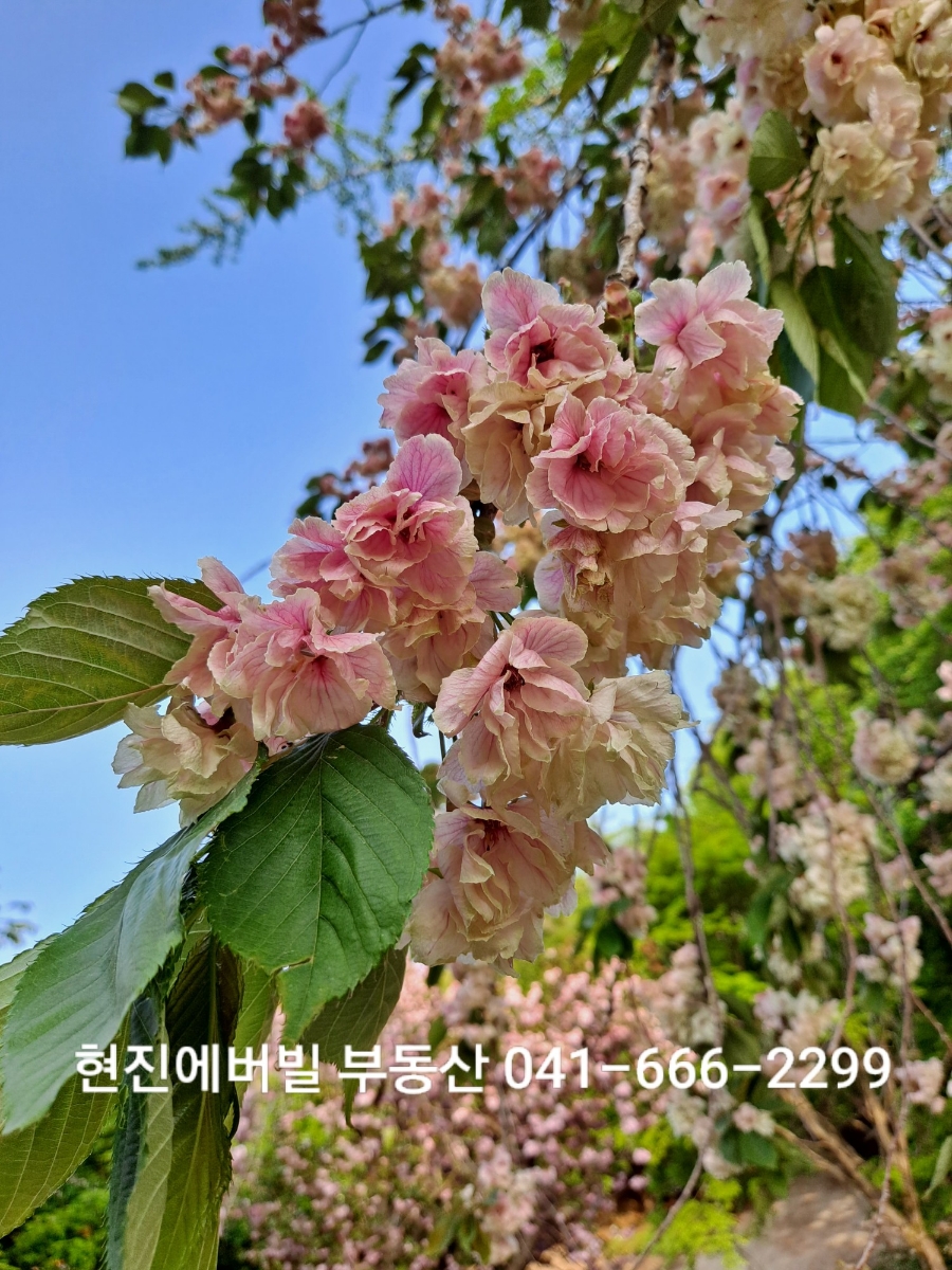 한강세무법인 이미지