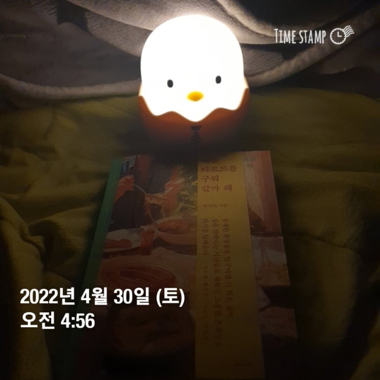 일일일영 이미지