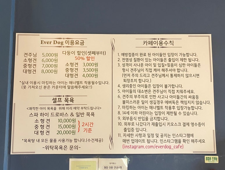 에버독 이미지