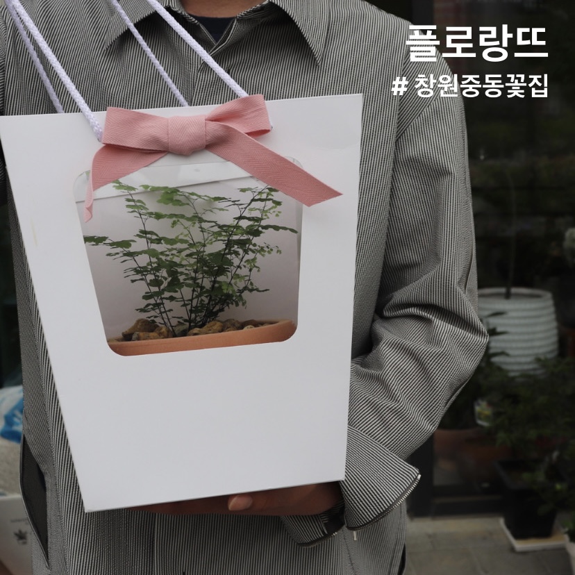 플로랑뜨 이미지