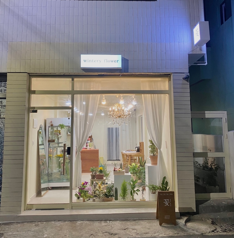 윈터리플라워 이미지