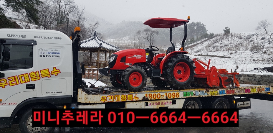 합천추레라 이미지