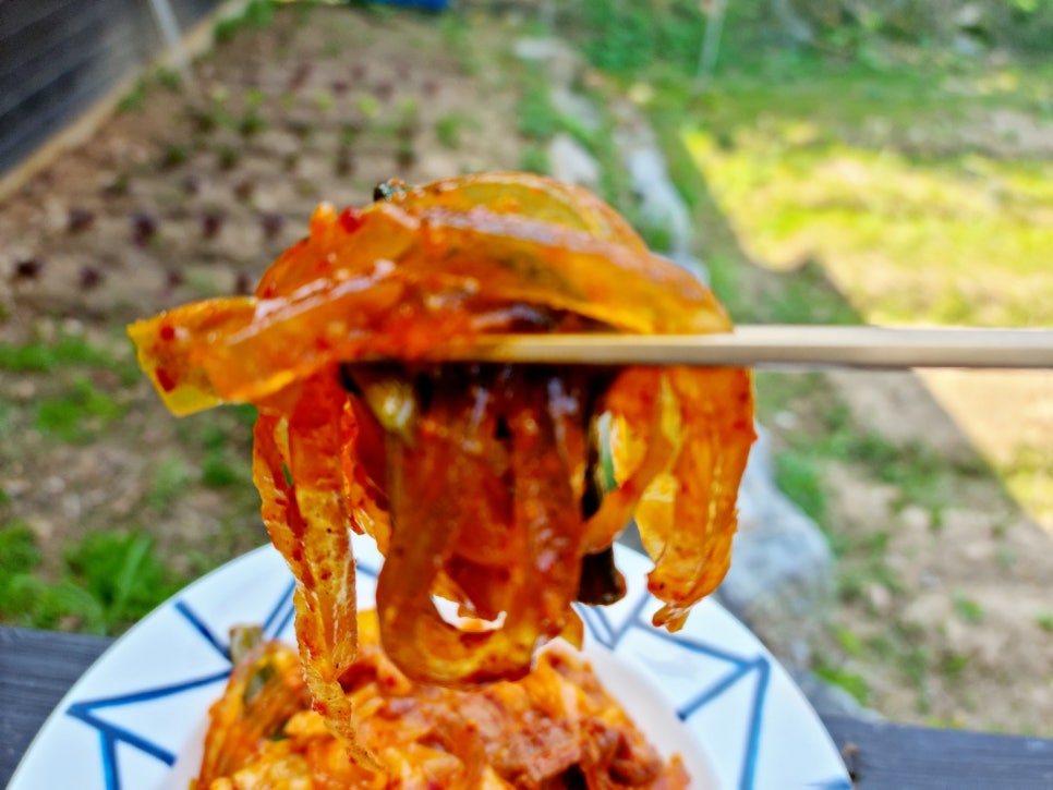 건강면(주) 이미지