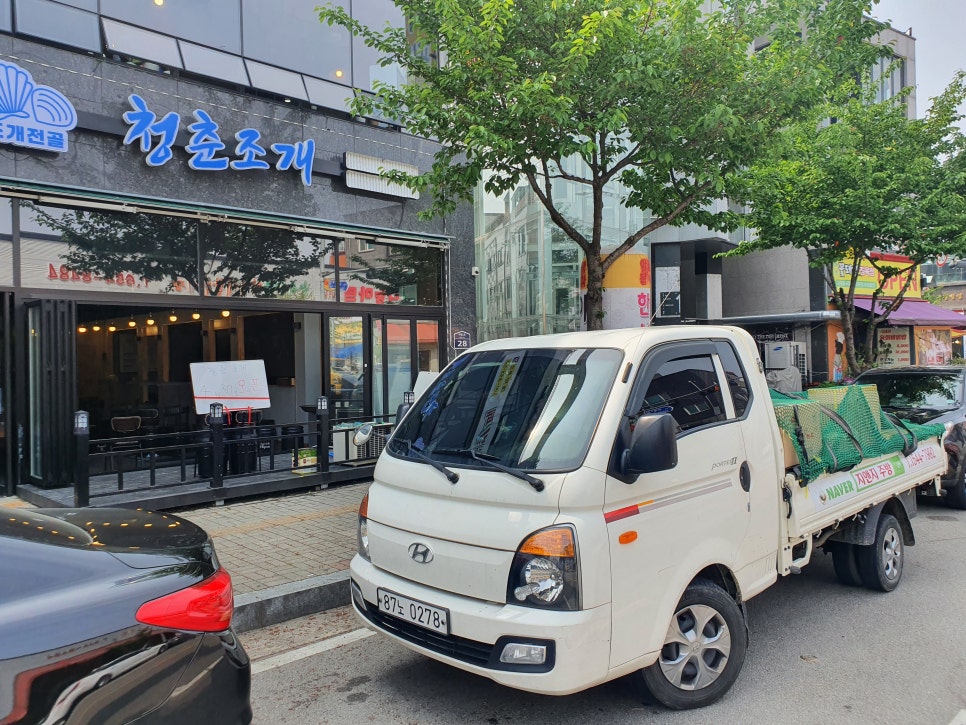 청년조개 이미지