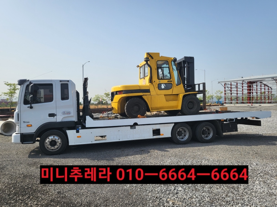 합천추레라 이미지