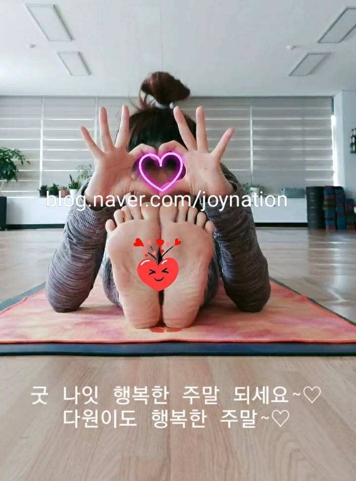신창신 이미지