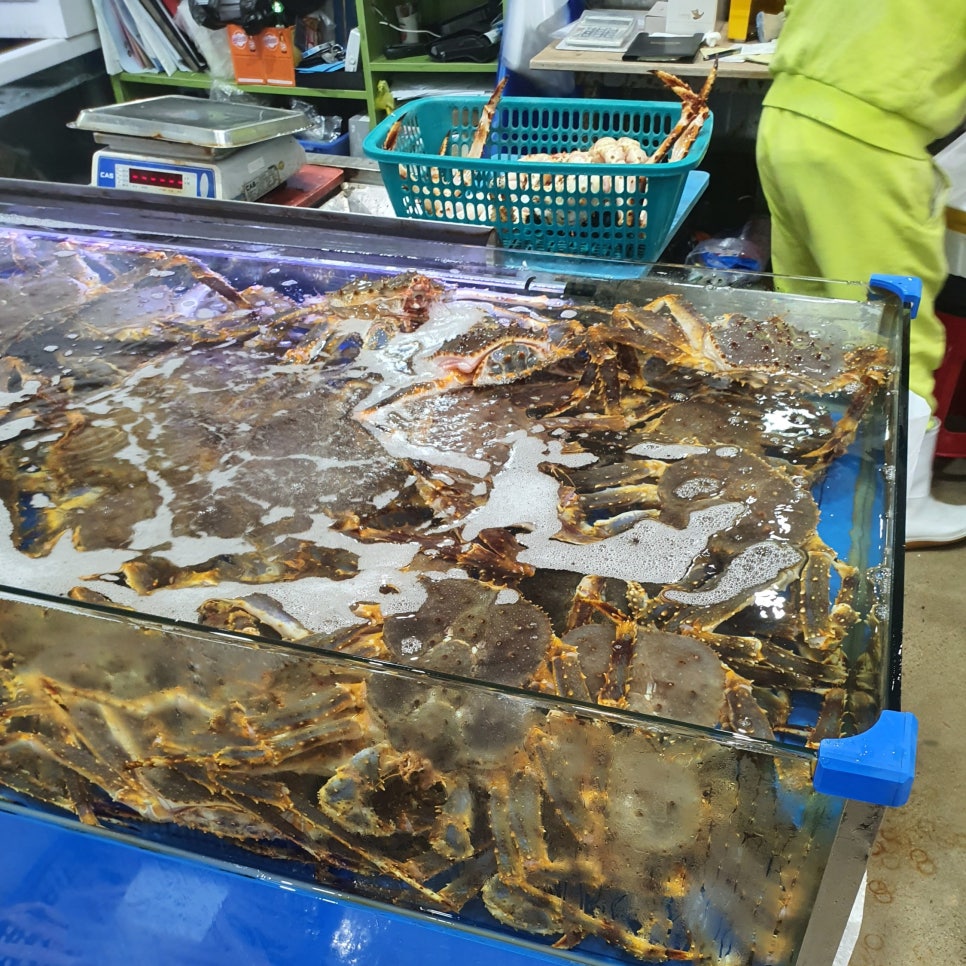 대명수산2호 이미지