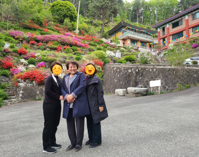 향원사 이미지