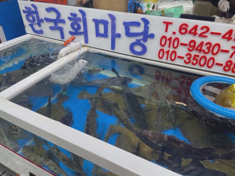회마당 이미지